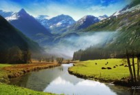 【股票】财务指标常识